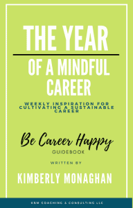 Year of a Mindful Career book